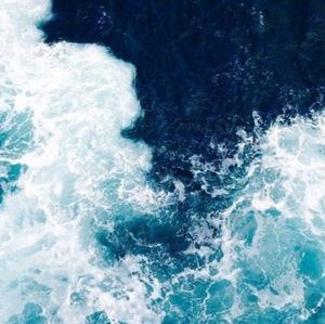 Meet your Posher, Eleanor